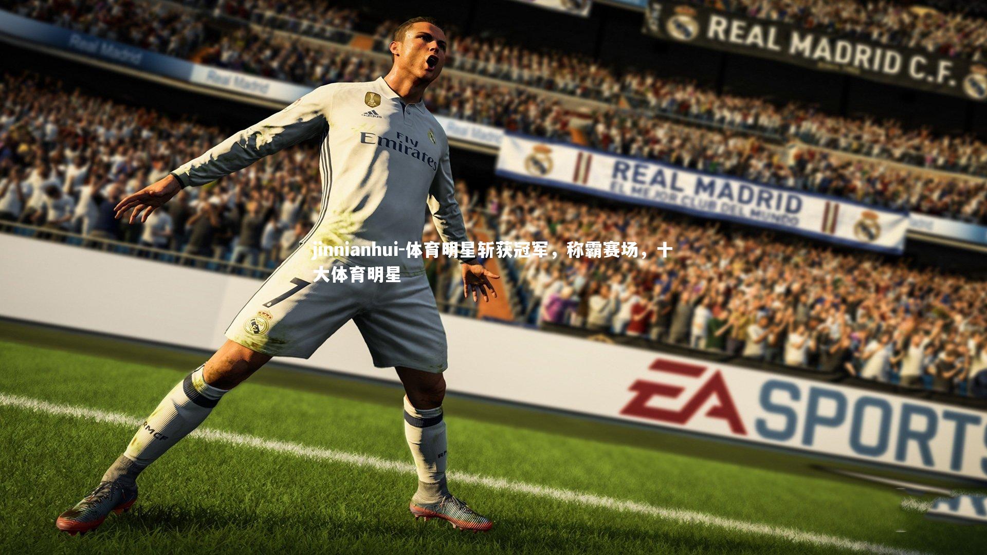 体育明星斩获冠军，称霸赛场，十大体育明星