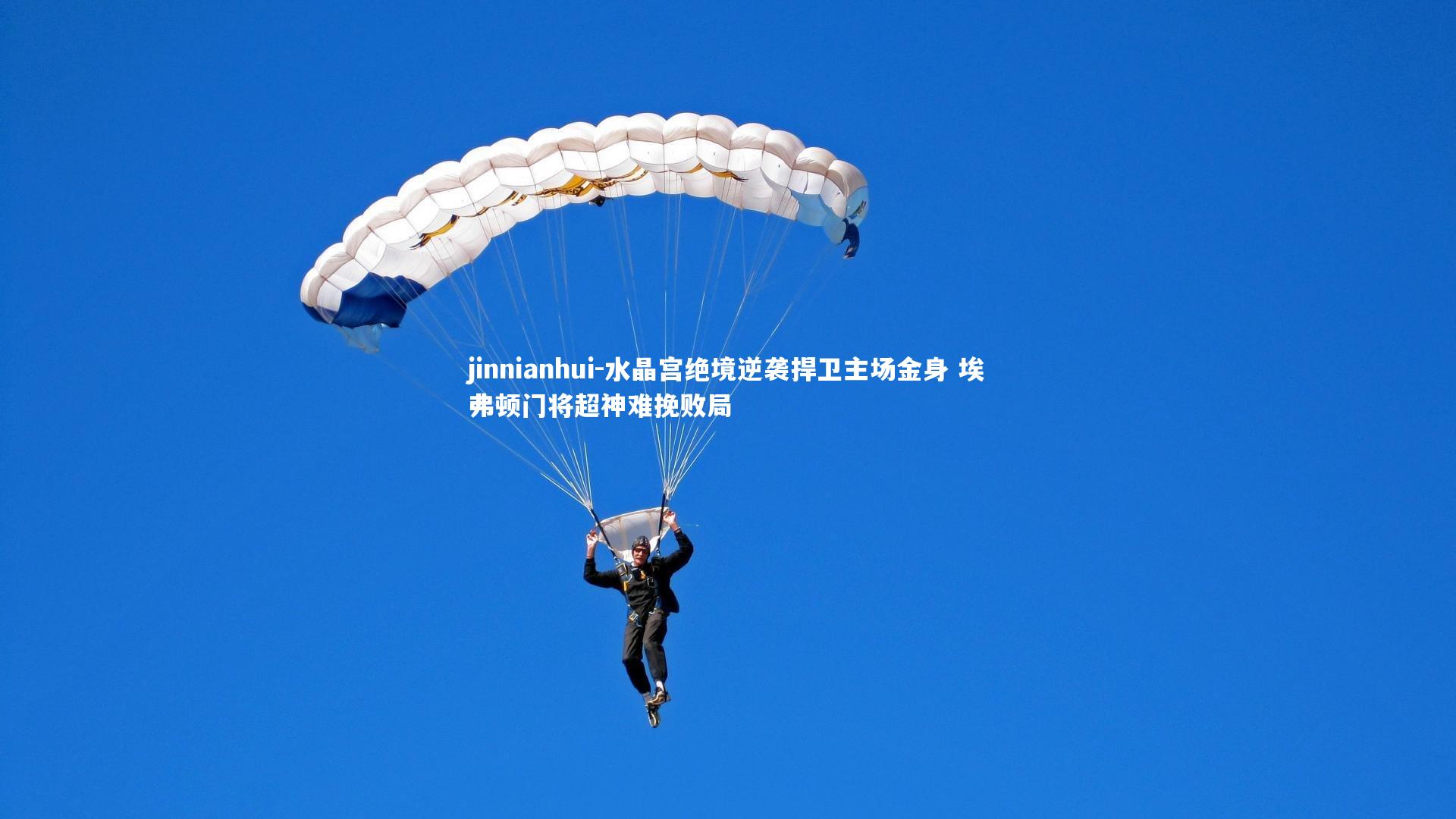 水晶宫绝境逆袭捍卫主场金身 埃弗顿门将超神难挽败局